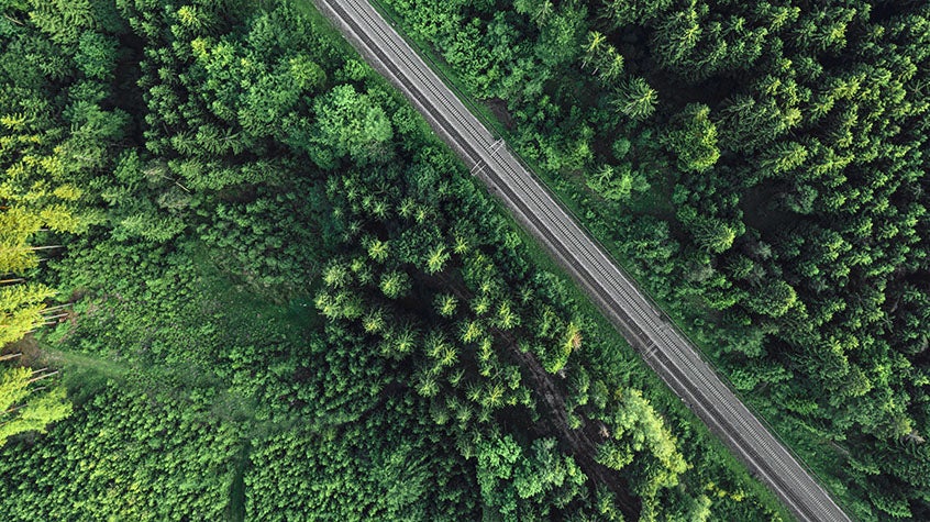Birdseye view of a road going through a forest