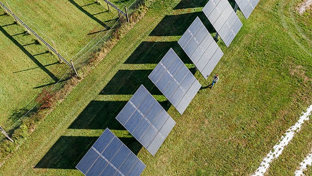 A row of solar panels