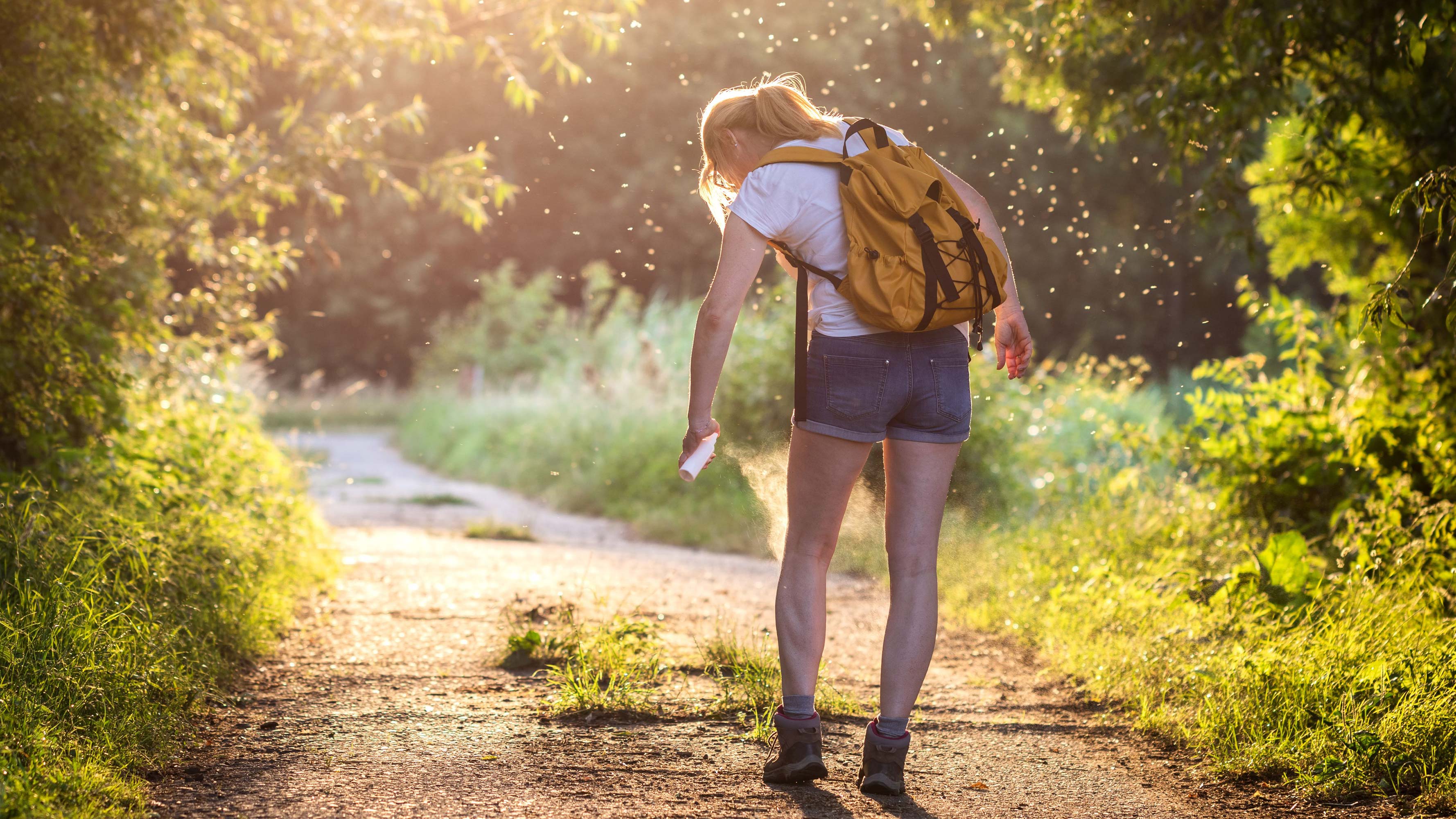 A young woman, wearing hiking gear, walks a trail while spraying herself with bugs. A swarm of flying bugs is ahead of her on the trail.