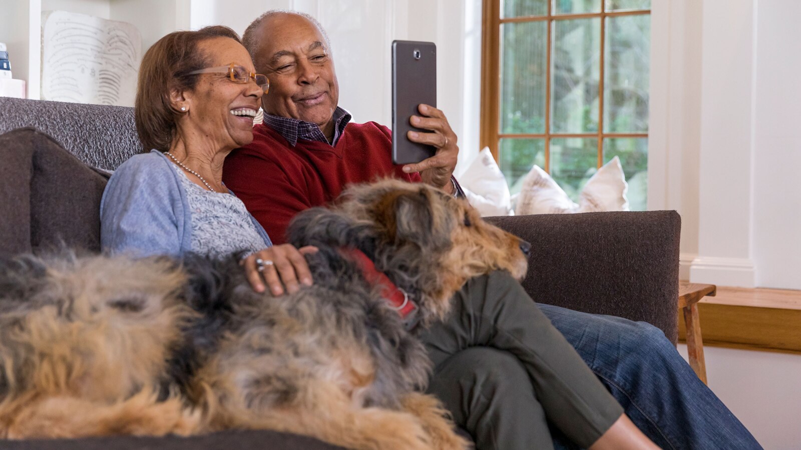 A couple of seniors sit on the couch, petting their dog and reading off of a large phone screen. 