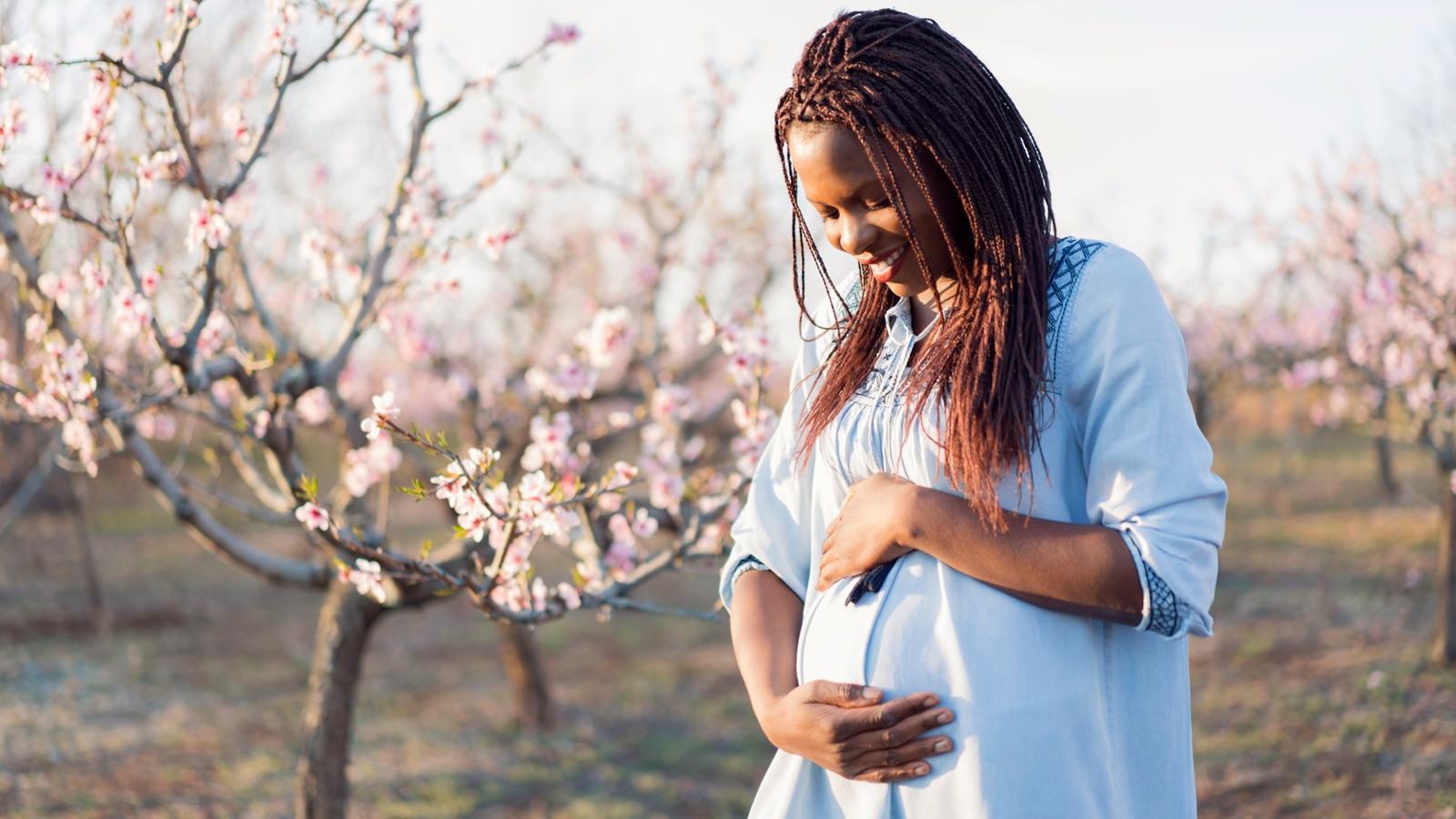 A woman caresses her pregnant belly while standing in front of a cherry blossom tree.