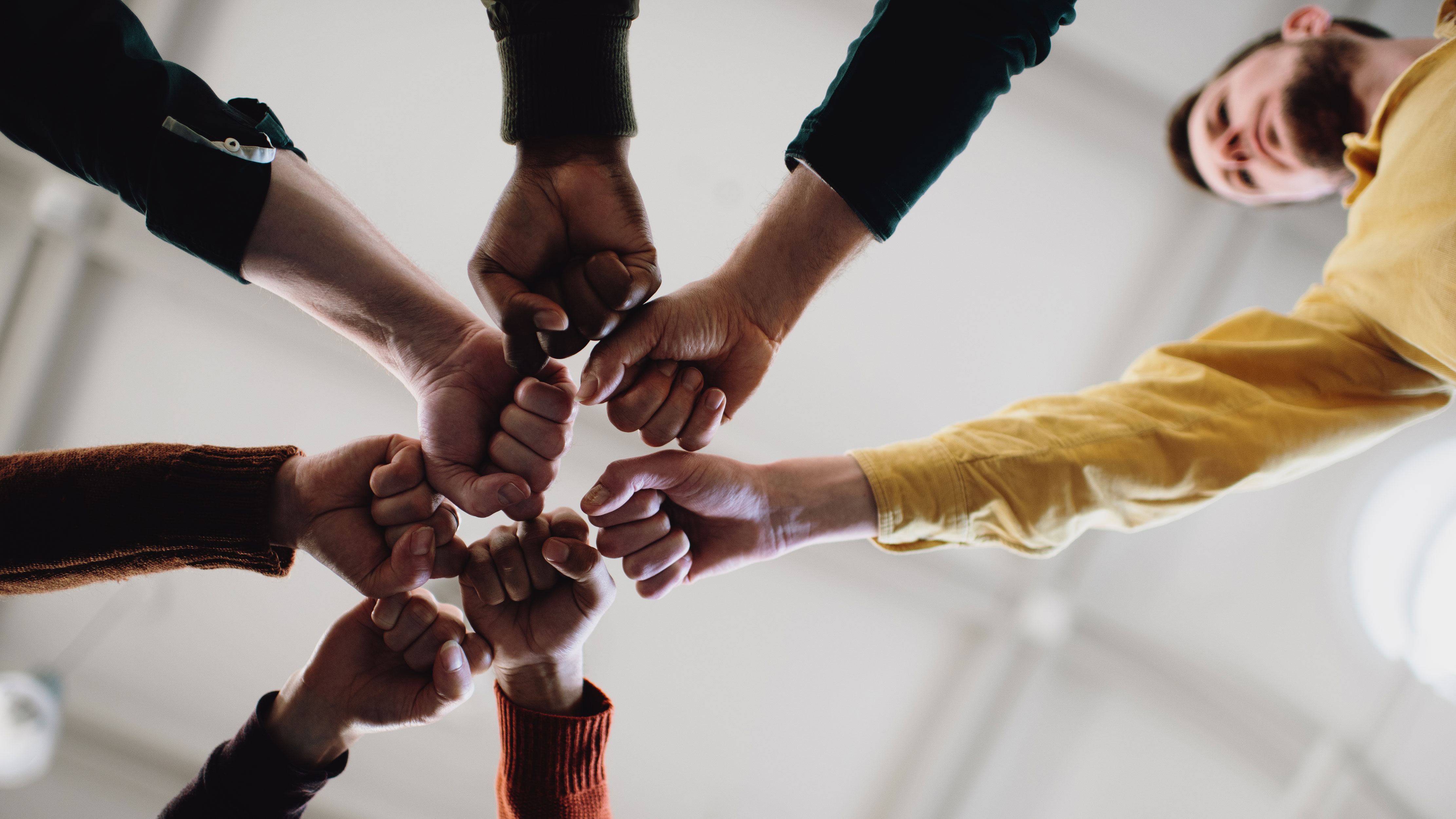 A team all put their fists together in a group huddle.