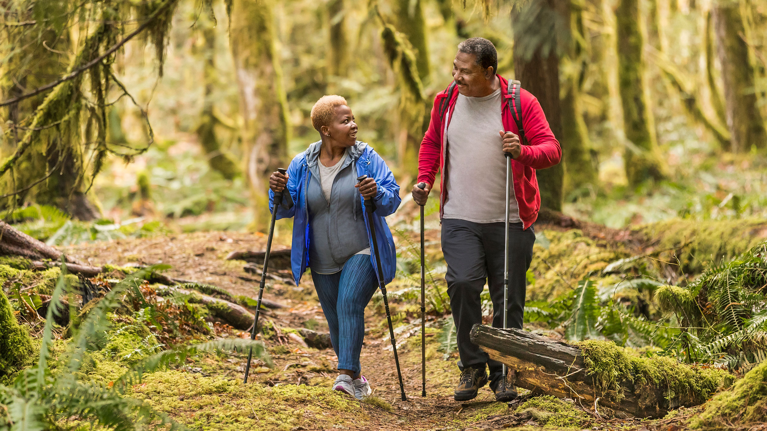 A senior black couple, a man and woman, hiking on a heavily wooded trail