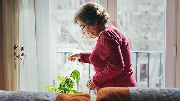Woman watering plant